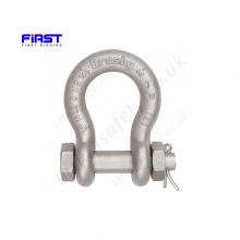 Drop Forged US Type Hot Dipped Galvanized G209 Bow Shackle